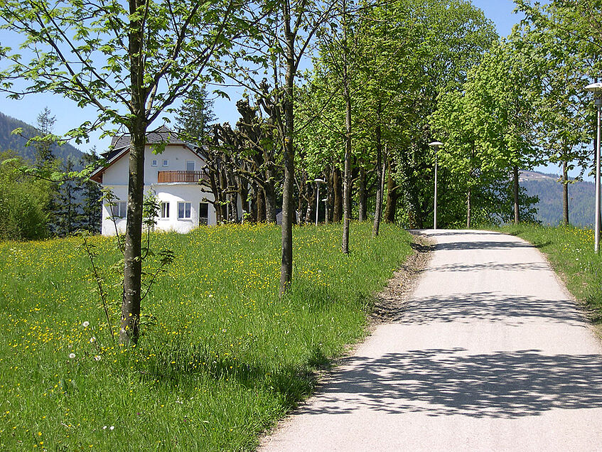 Allee mit Haus im Hintergrund