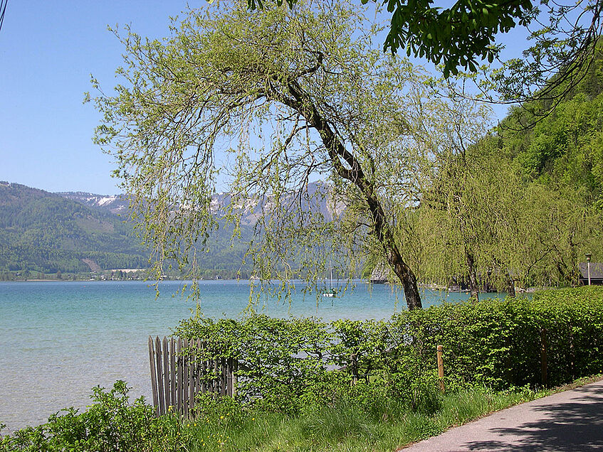 Promenade am Ufer des Wolfgangsees mit Blick auf den See