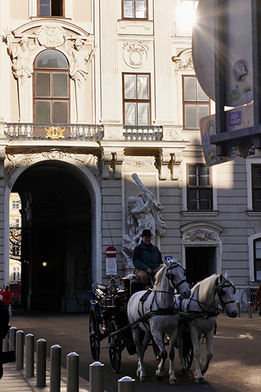 Horse-drawn carriage in front of Michaela Tor