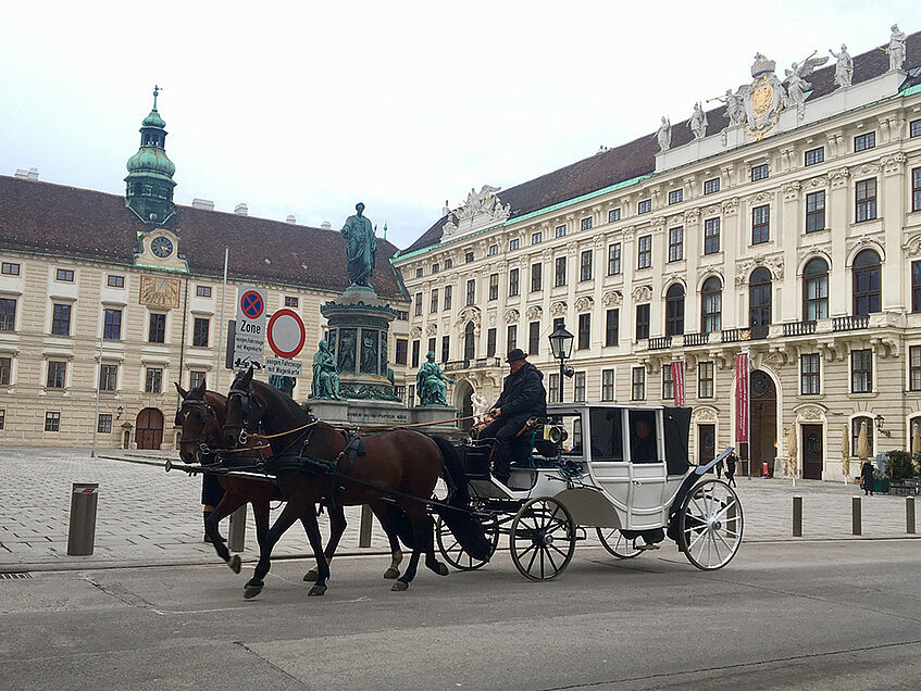 Horse drawn carriage in front of the Hofburg